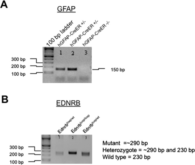 Fig. S6.