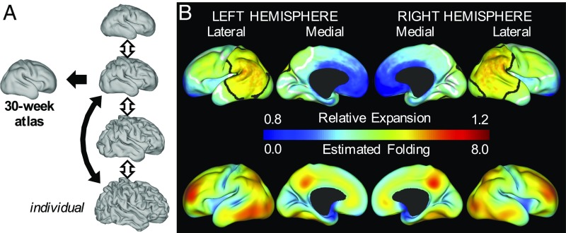 Fig. 4.