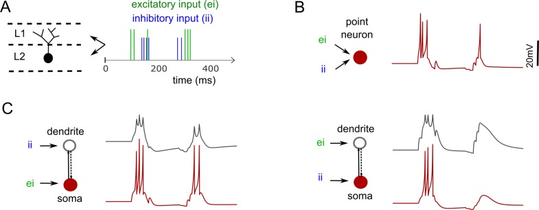 Fig 6