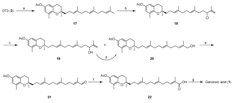 Scheme 3