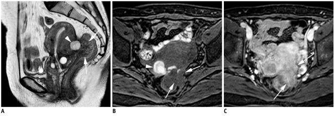 Fig. 10