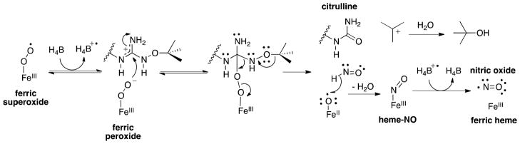 Scheme 5