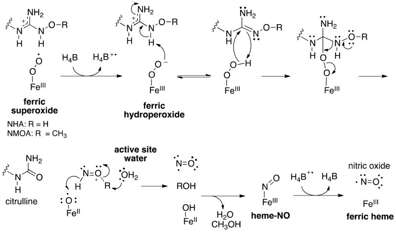 Scheme 4