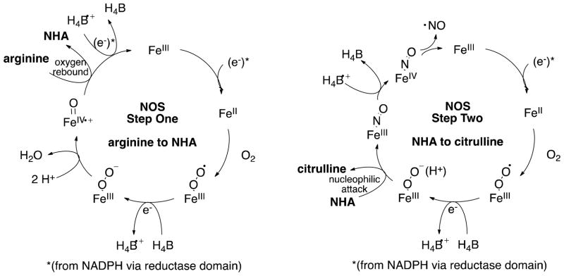 Scheme 2