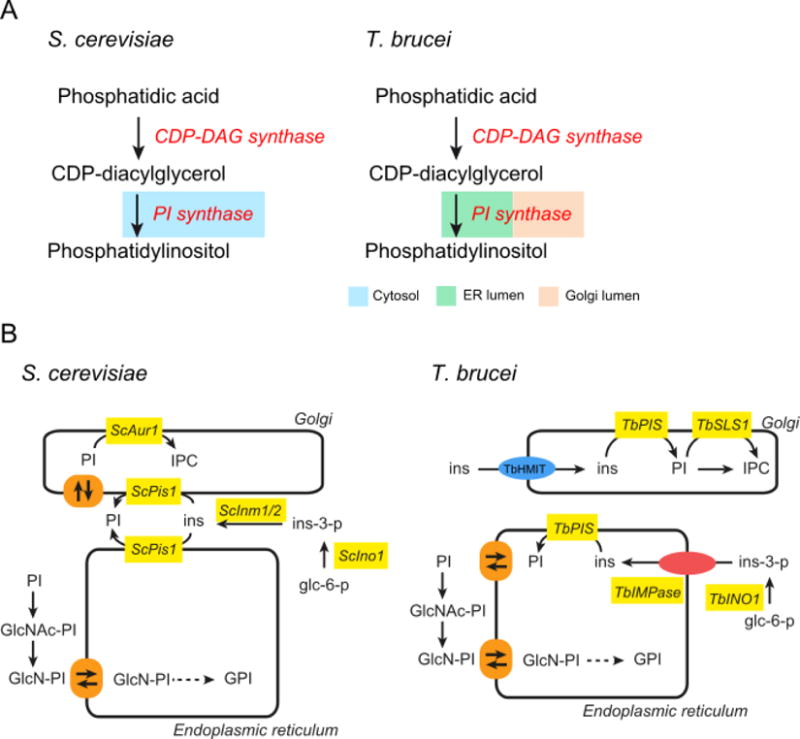 Figure 7