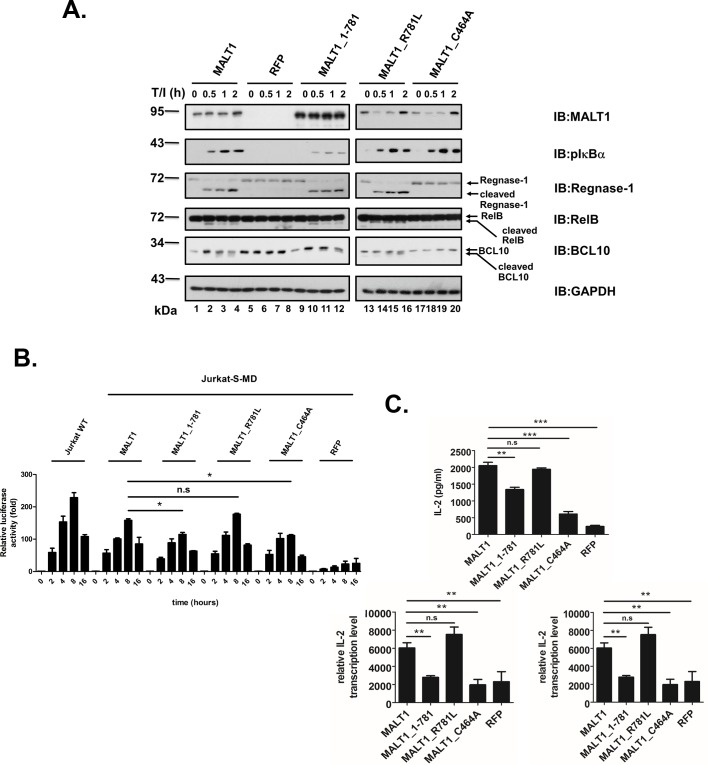 Fig 5