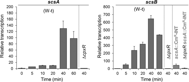 FIG 1