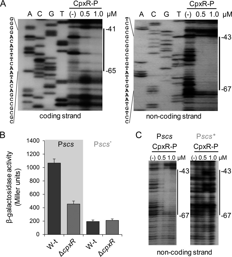 FIG 3