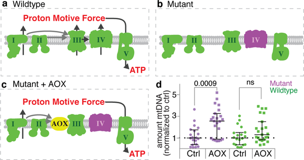 Extended Data Figure 4.