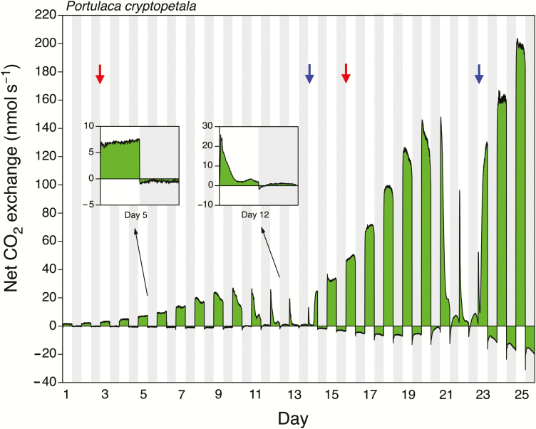 Fig. 2.