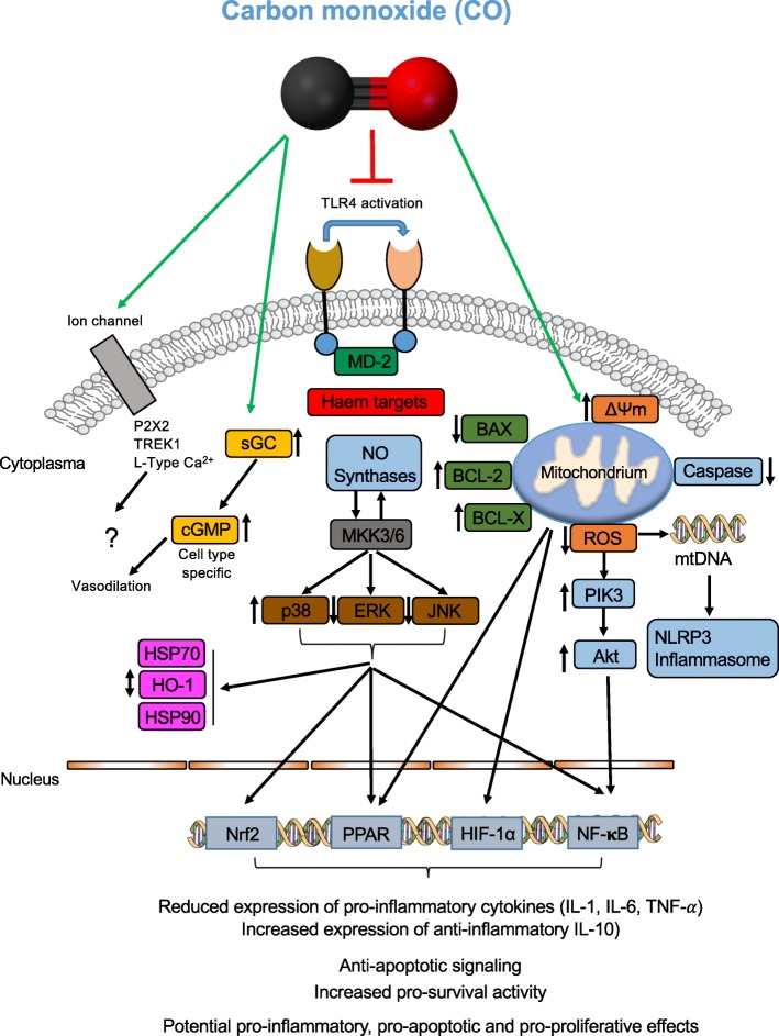 Fig. 2