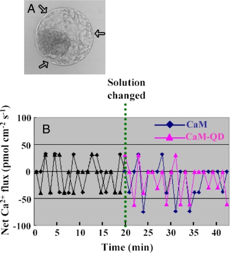 FIGURE 4.