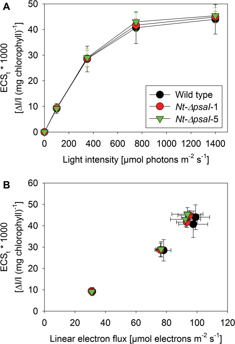 Fig. 9.