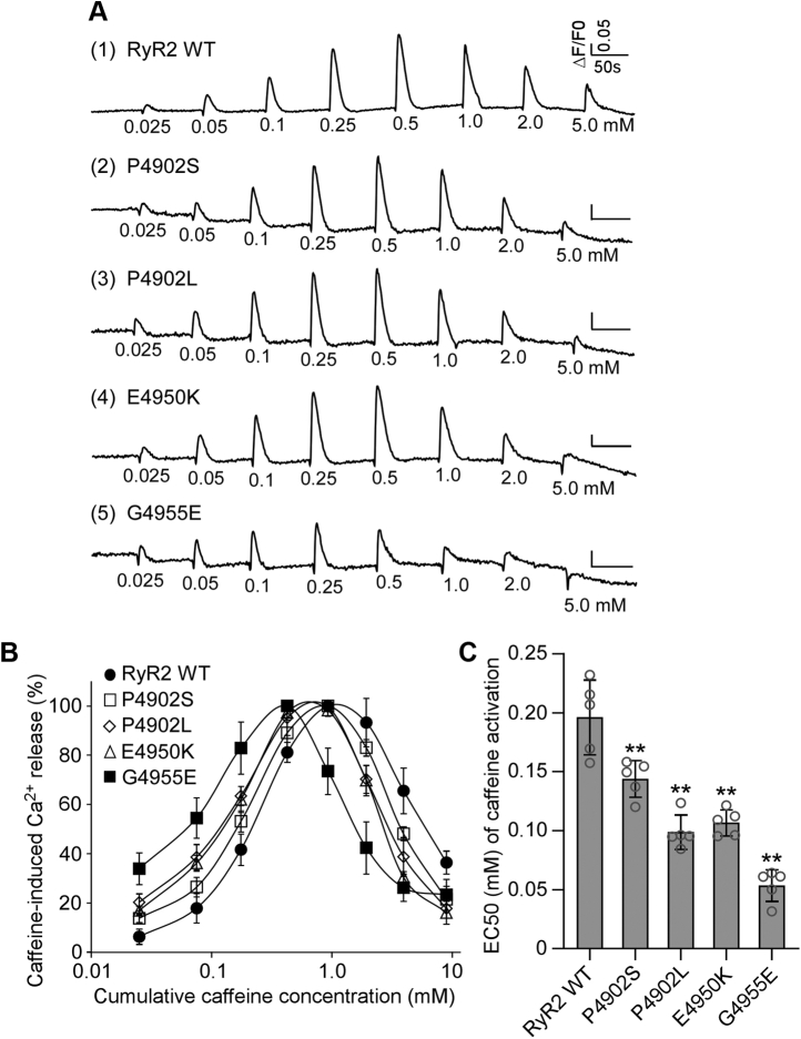 Figure 3