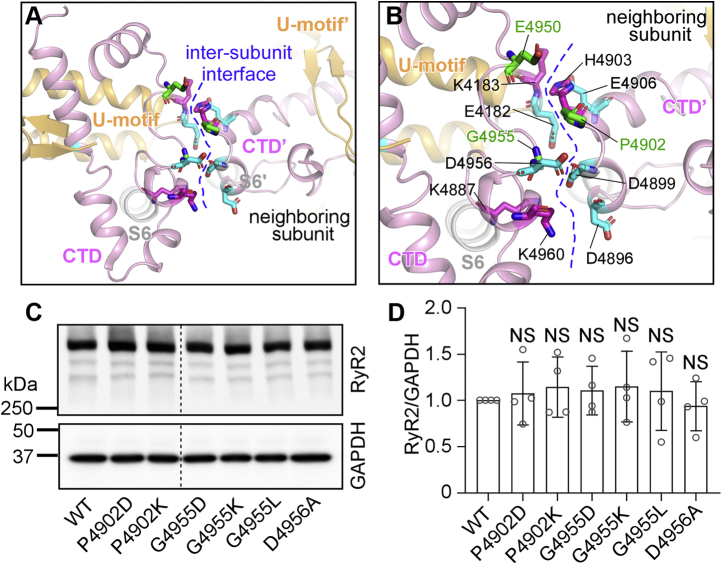 Figure 6