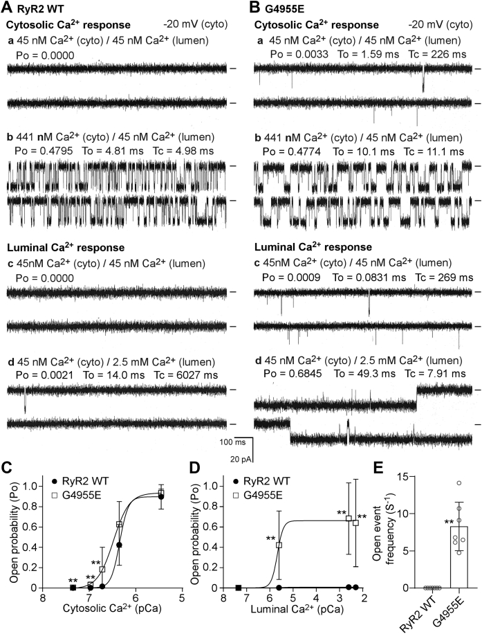 Figure 5