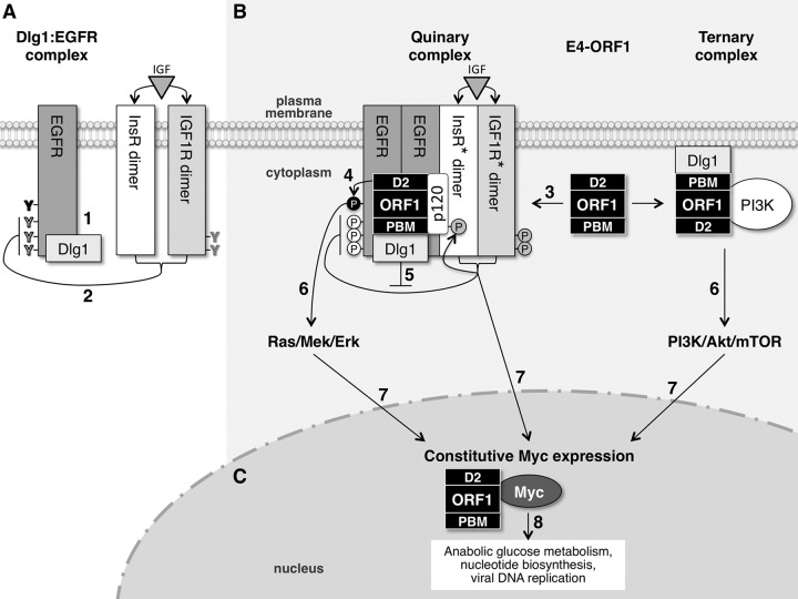 FIG 8