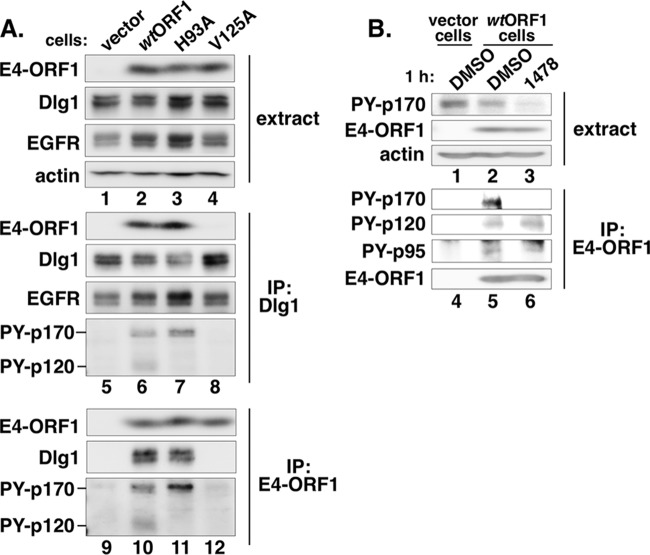 FIG 4