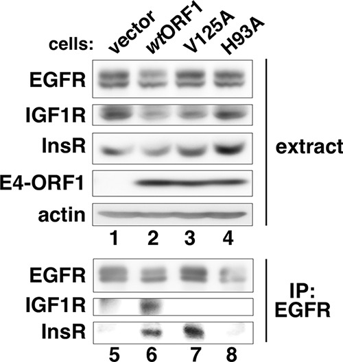 FIG 5