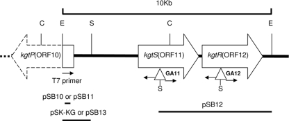 FIG. 2.