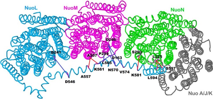 FIGURE 2.