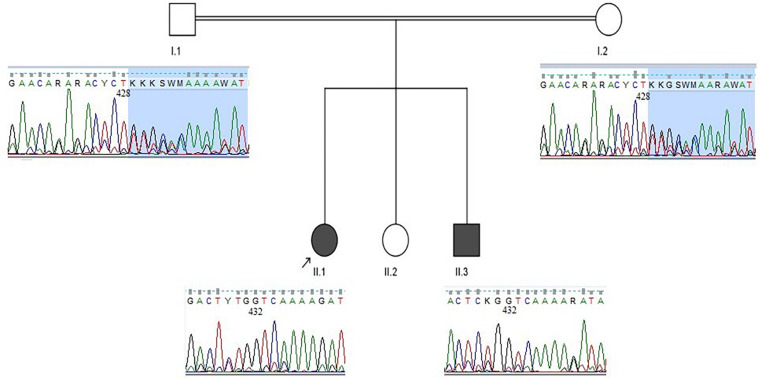 FIGURE 3