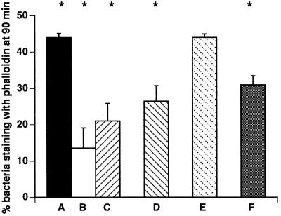 FIG. 7