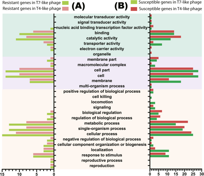 Fig 5: