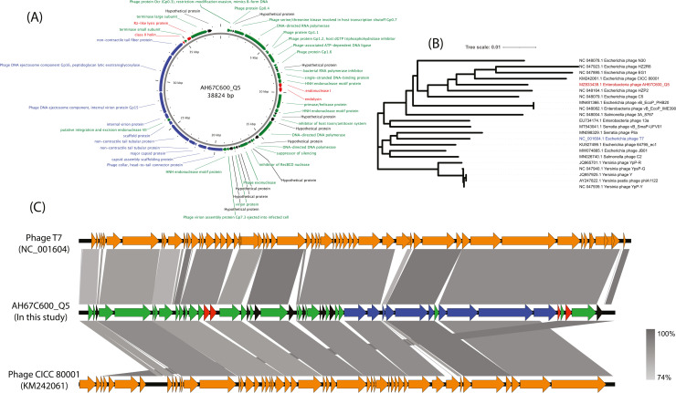 Fig 3: