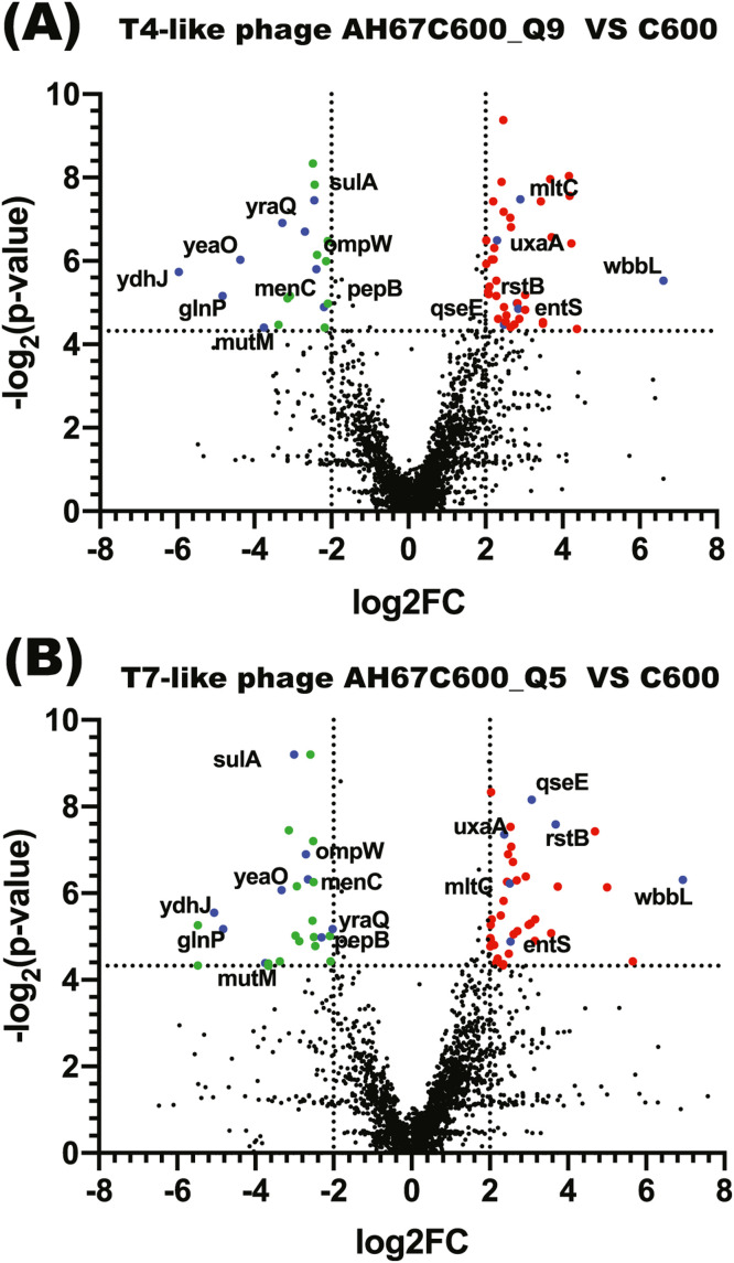 Fig 4: