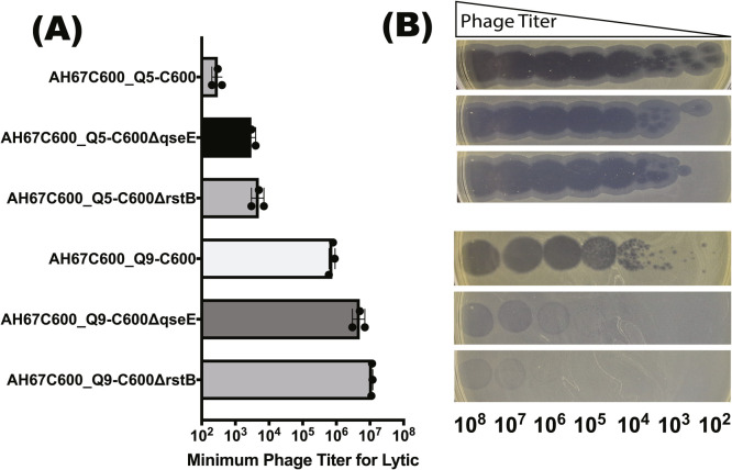 Fig 6: