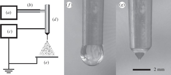 Figure 1.