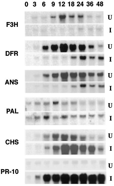 Figure 9