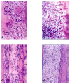 Fig. (1)