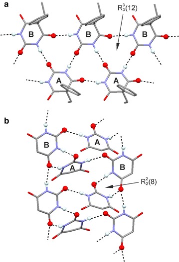 Fig. 10