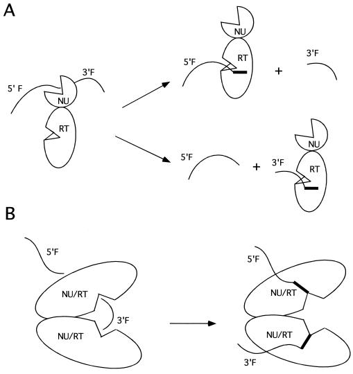 FIG. 8