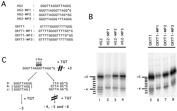 FIG. 6