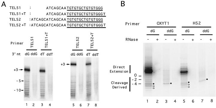 FIG. 7