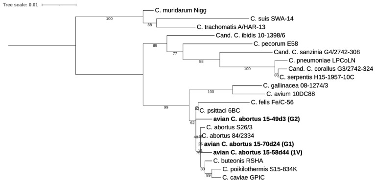 Figure 2