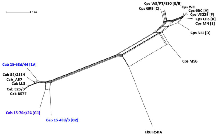 Figure 7