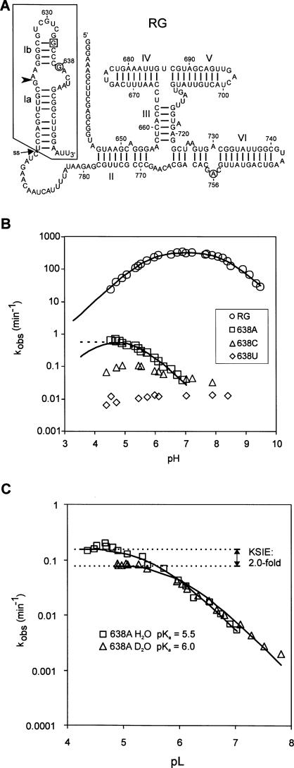 FIGURE 1.