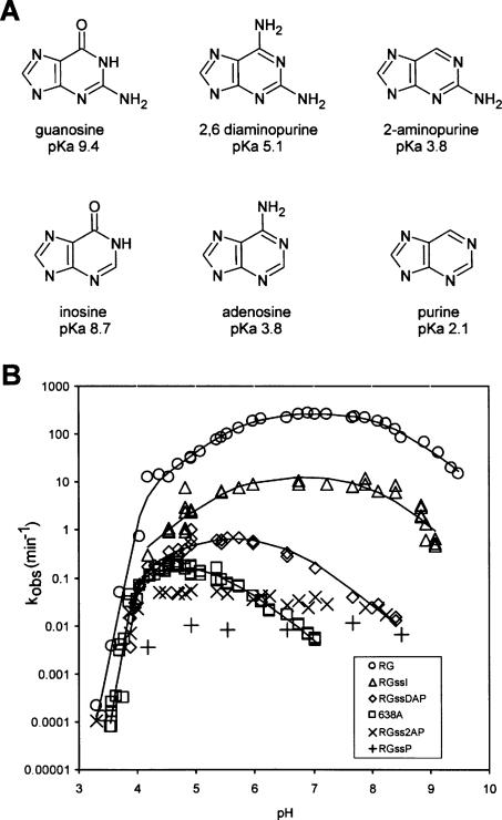 FIGURE 4.