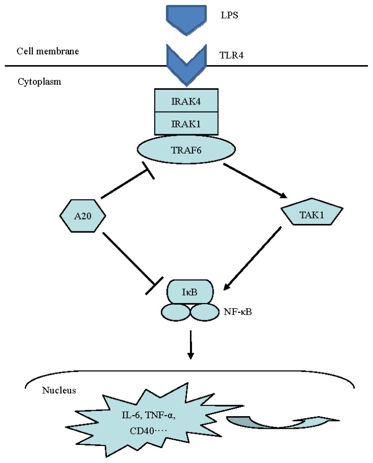 Figure 7.