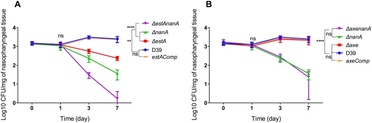 Fig 6