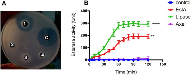 Fig 2