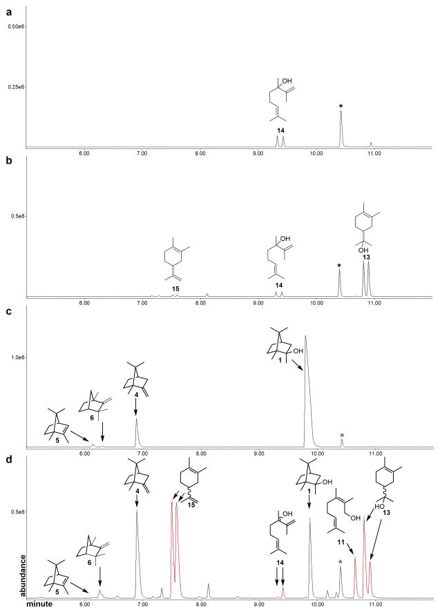 Figure 5