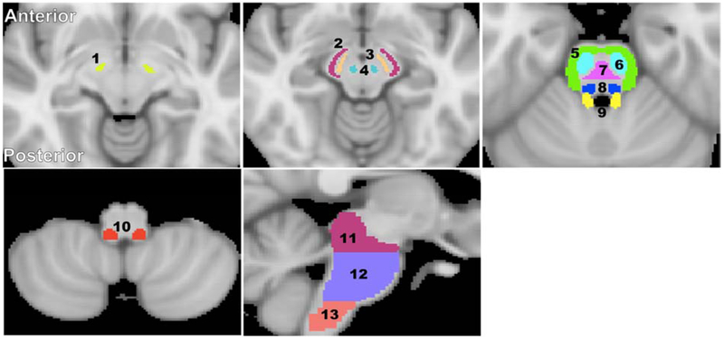 Figure 2: