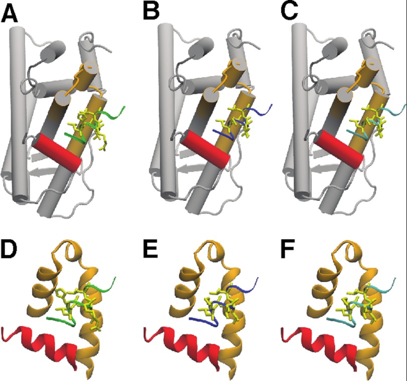 FIGURE 9.