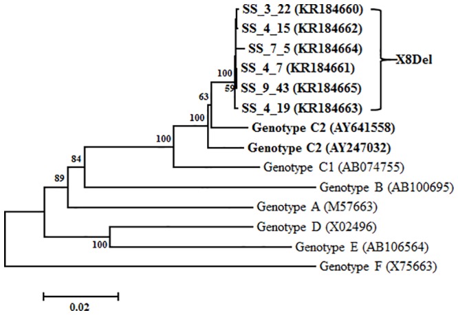 Fig 3