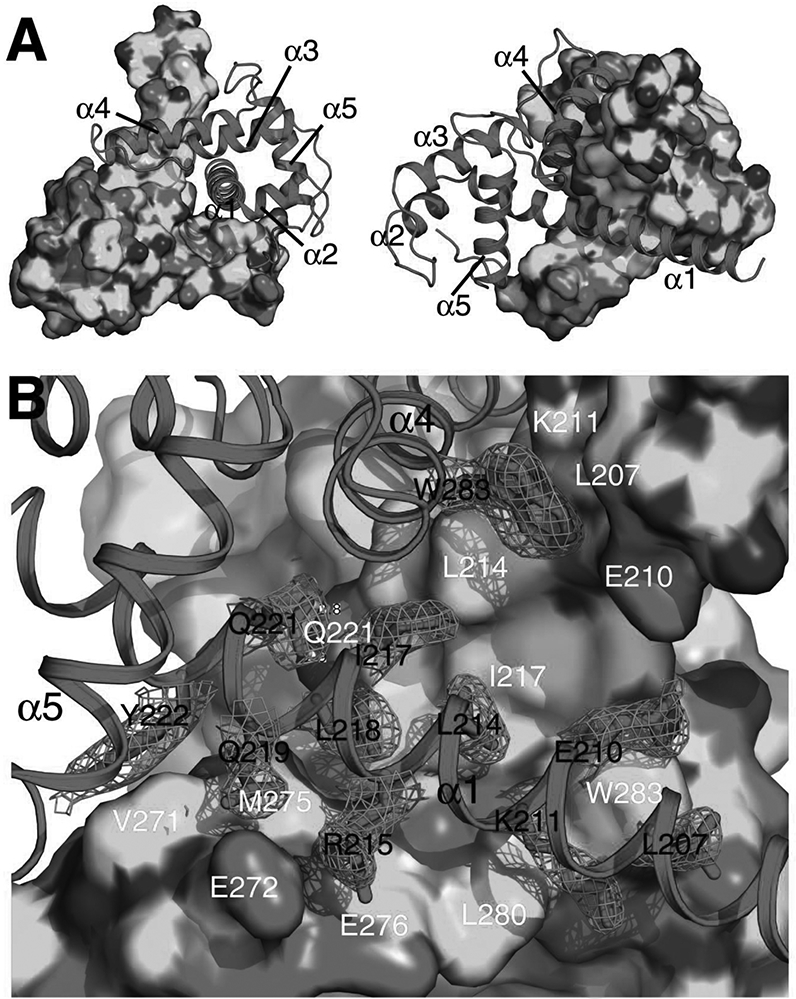 Figure 3.